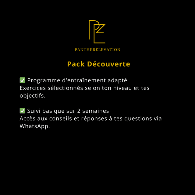  Panther Découverte